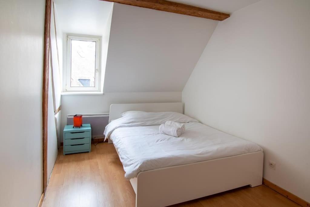 Le Molsheim - Grand Proche Musee Dart Moderne Appartement