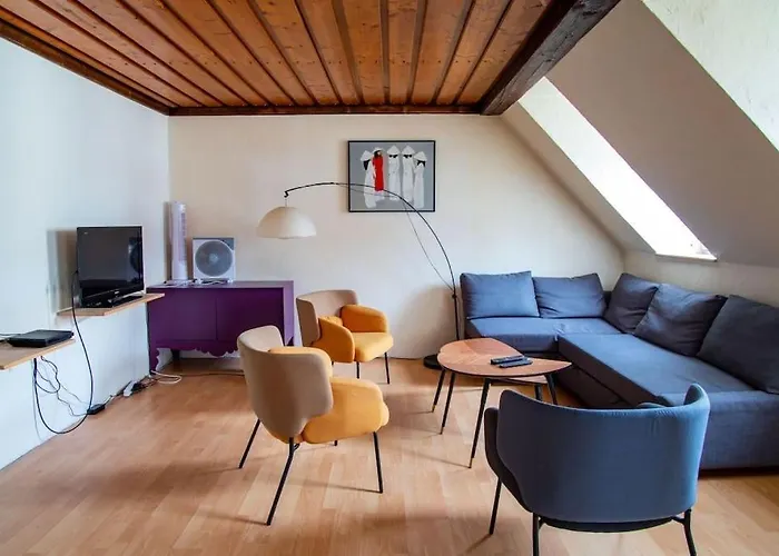 Le Molsheim - Grand Appartement Proche Musee Dart Moderne